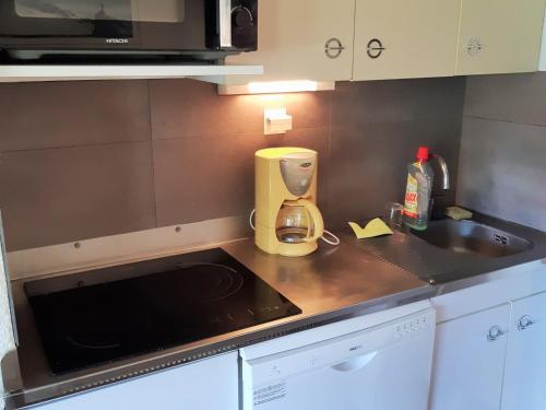 Appartement pour 6 aux pieds des pistes avec animaux acceptés