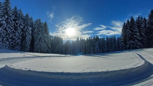 un campo cubierto de nieve con árboles y el sol en el cielo en Ferienhaus Kirsch en Missen-Wilhams