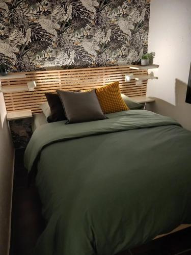 a bedroom with a green bed with a wall at L'Anthacite Gite 8 à 12 personnes in Courlaoux