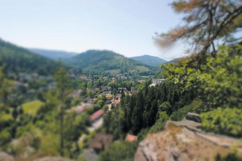 a view of a town in a valley with mountains at Schwarzwald Panorama in Bad Herrenalb