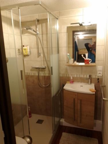 une salle de bain avec douche et lavabo dans l'établissement Studio coeur de station de Praz de Lys 1500m, à Taninges