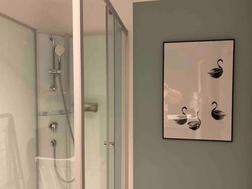 a bathroom with a shower and a picture of swans at Chiemsee Schwanenloft in Seebruck