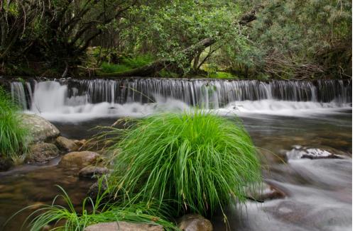 un ruscello d'acqua con erba di fronte a una cascata di Sweet Home - Praia das Rocas II a Castanheira de Pêra