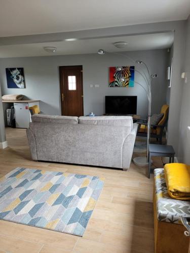 a living room with a couch and a television at Glenwood guesthouse near Ballybofey in Killygordon