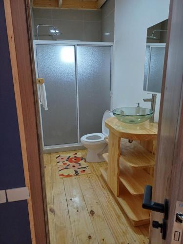 a bathroom with a glass shower and a toilet at Aires de Asturias in Puerto Montt