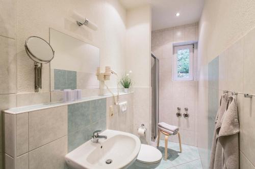 a bathroom with a sink and a toilet and a mirror at Gästehaus am Kurpark in Bad Schandau