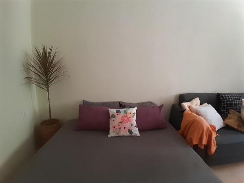 a living room with a couch with pillows and a plant at anik homestay & dormy Batukaras in Batukaras