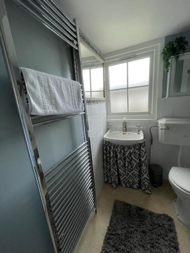 uma casa de banho com um chuveiro, um lavatório e um WC. em Cottages at Woodlands, Dormer em Wareham