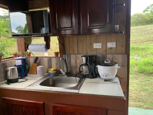 a kitchen counter with a sink and a microwave at Cabaña Rancho Don Marino in Cartago