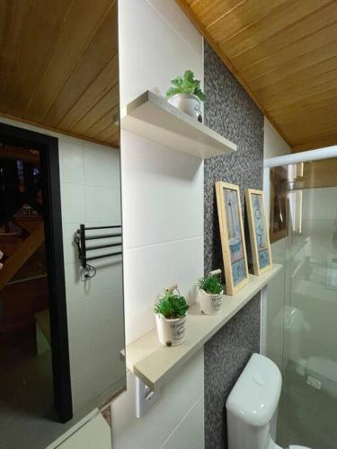 a bathroom with a toilet and some plants on shelves at Laventure Rouge- sofisticação na Serra Gaúcha in São Francisco de Paula
