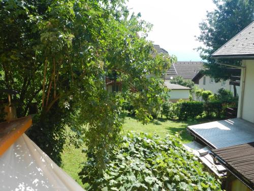 an overhead view of a yard with a tree at Apartment Murka in Begunje na Gorenjskem