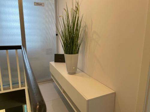 a plant in a vase sitting on a table at Apartment Haus Stefanie by Interhome in Trinwillershagen