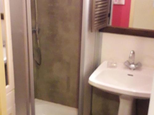 uma casa de banho com um chuveiro e um lavatório. em Studio Valloire, 1 pièce, 4 personnes - FR-1-263-5 em Valloire