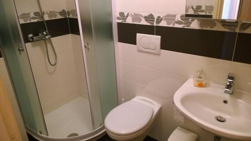a bathroom with a shower and a toilet and a sink at Apartment Sinčić in Novigrad Istria