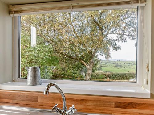 a window over a sink in a kitchen with a tree at 2 Bed in Betws y coed 80629 in Gwytherin