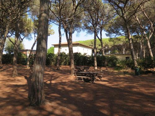 a park bench sitting in the shade of trees at Apartment Grecale by Interhome in Mazzanta
