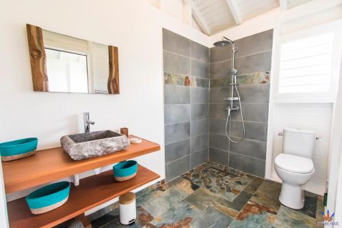 a bathroom with a toilet and a shower at Le Domaine de l'Ilet in Saint-Claude