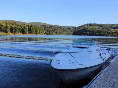 a boat is docked at a dock on a lake at Demeure de Flore in Lacabarède