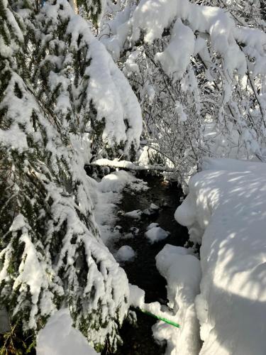 a stream in a snow covered forest with trees at Ferienwohnung Bergblick am Rande der Wildnis in Sibratsgfäll