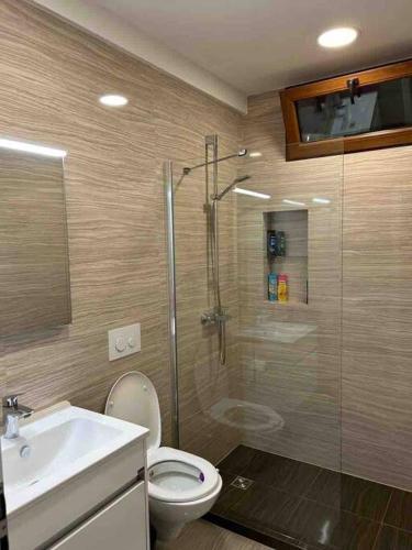 a bathroom with a shower and a toilet and a sink at Luxurious House for Rent in Pristina