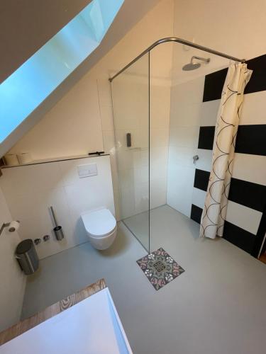 a bathroom with a toilet and a glass shower at Gasthof zum grünen Baum in Boitzenburg