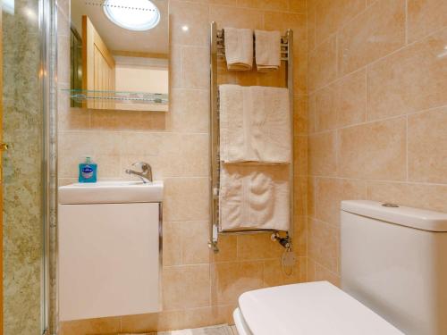 a bathroom with a toilet and a sink and a shower at 1 Bed in South Molton 89089 in South Molton