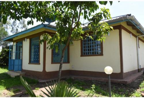 een klein huis met blauwe ramen en een boom bij D'LUX HOME RODI KOPANY in Homa Bay