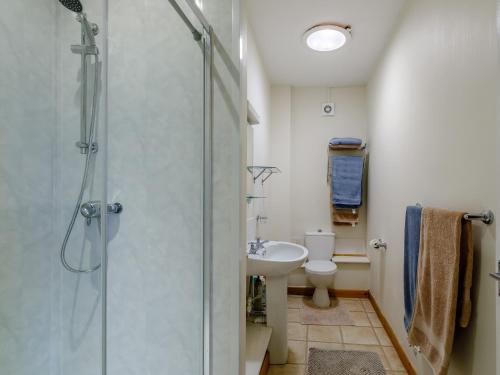 a bathroom with a shower and a sink and a toilet at 2 Bed in Sidmouth LAMBS in Ottery Saint Mary