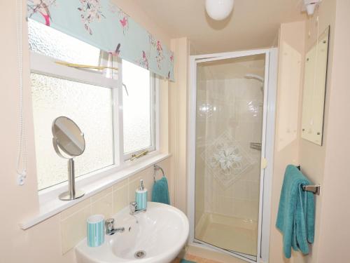 a bathroom with a sink and a shower at 1 Bed in Torrington 42982 in Petrockstow