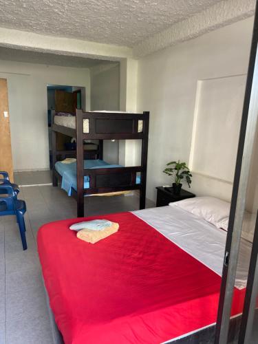 a bedroom with a bed with a red blanket and bunk beds at Posada Casamar 2 in San Andrés