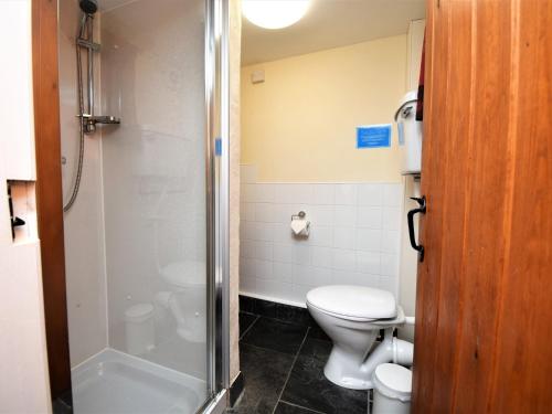 a bathroom with a toilet and a shower at 1 Bed in Rhayader 45386 in Llangurig