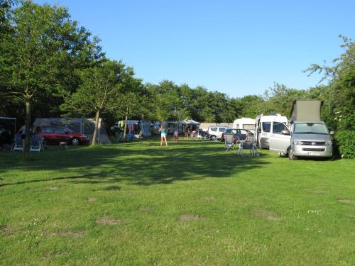 a group of vehicles parked in a grass field at Camping Heidekamp in Versmold