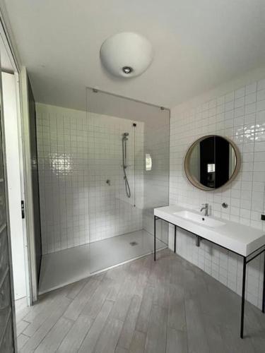 ein Bad mit einer Dusche, einem Waschbecken und einem Spiegel in der Unterkunft Casa nel parco in Romano di Lombardia