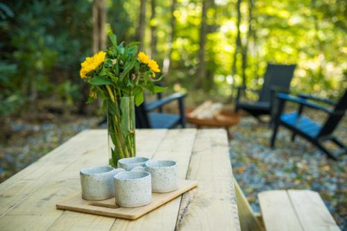 Gallery image of Riverview Retreat at The Wanderer in Boone