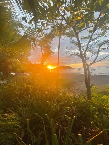puesta de sol en la playa con palmeras en Bahia Pez Vela Resort, en Ocotal