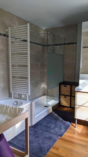 a bathroom with a shower and a tub and a sink at L'ARONDE in Olloy-sur-Viroin