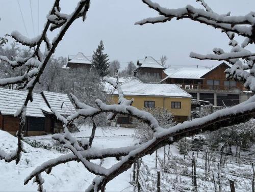 a snow covered tree branch in front of a house at Seoski turizam Žigale 