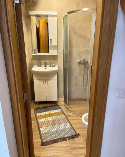 a bathroom with a shower and a sink and a toilet at Seoski turizam Domaćinstvo Tošanić in Žigale