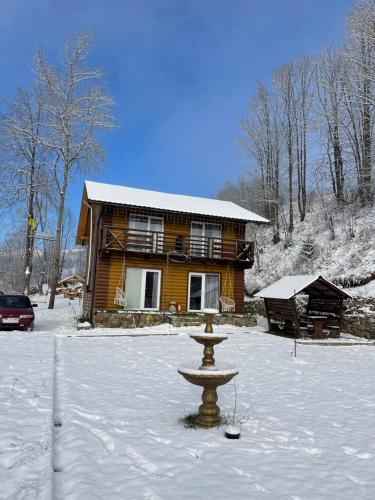 ein Blockhaus mit einem Brunnen im Schnee in der Unterkunft Dva Braty eco in Podobovets