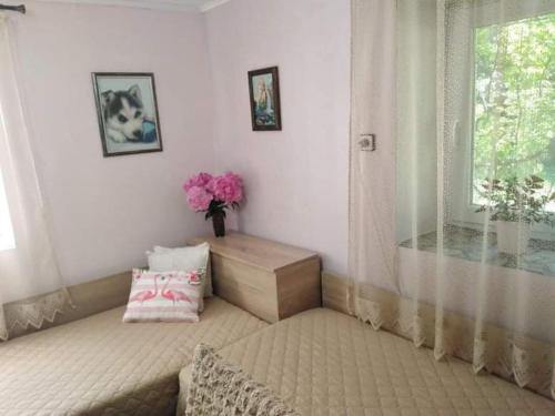 a white room with a window and a vase of flowers at Lovely studio in Dragoman with garden and garage in Dragoman