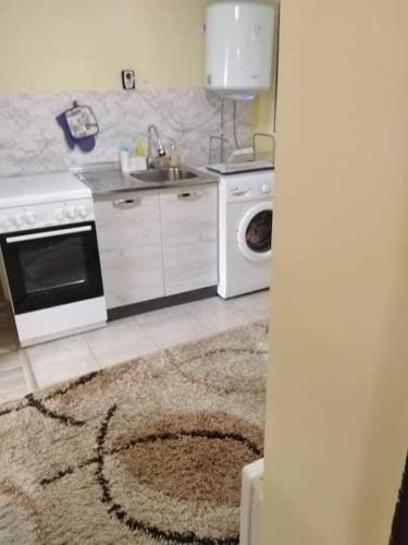 a kitchen with a sink and a washing machine at Lovely studio in Dragoman with garden and garage in Dragoman