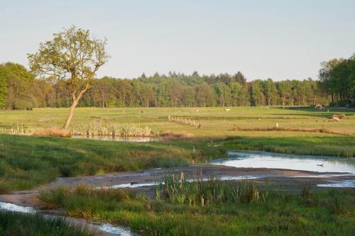 Brunninkhuizerbeek – Photos 4