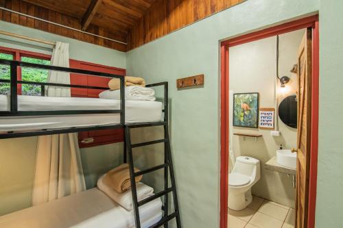 a room with bunk beds and a bathroom with a toilet at Selina Monteverde in Monteverde Costa Rica