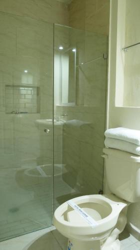 a bathroom with a toilet and a glass shower at Hotel Mar Caribe Puerto Vallarta in Puerto Vallarta