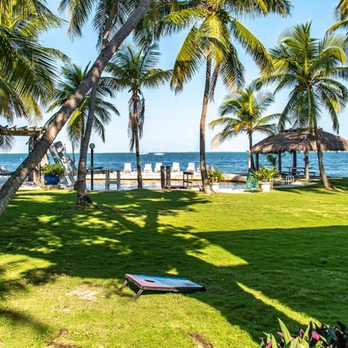 a park with palm trees and a picnic table and the ocean at Little Bay Compound in Islamorada