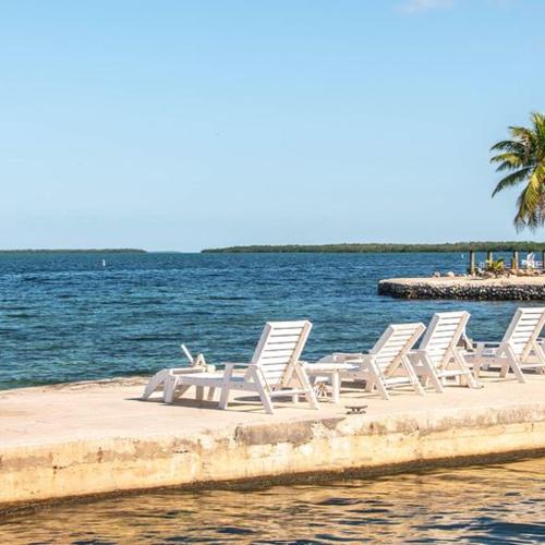 a group of white chairs sitting on a dock near the water at Little Bay Compound in Islamorada