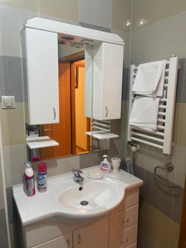 a bathroom with a sink and a mirror at Art-Inspired, Cozy Apartment in Vračar (historical)