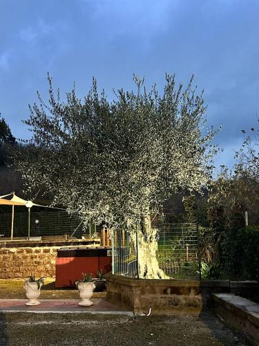 a tree in front of a fence with two vases at Country house Dolce Nocciola in Vignanello