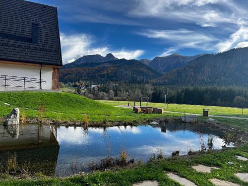 a small pond in a field next to a building at Apartament Widokowe Polany by Apart Concept Podhale in Kościelisko