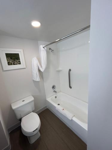 a white bathroom with a toilet and a bath tub at Comfort Inn Darien - North Brunswick in Darien